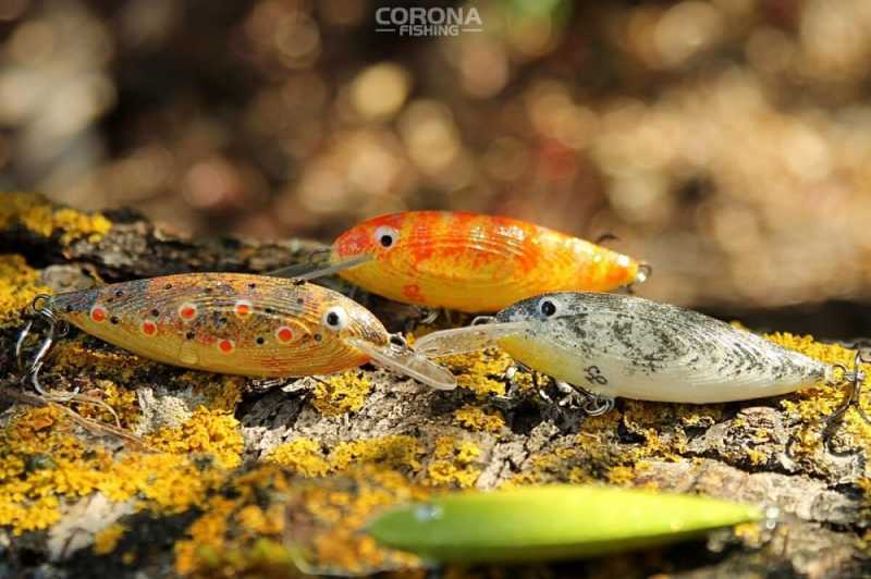 woblery szuszkiewicza